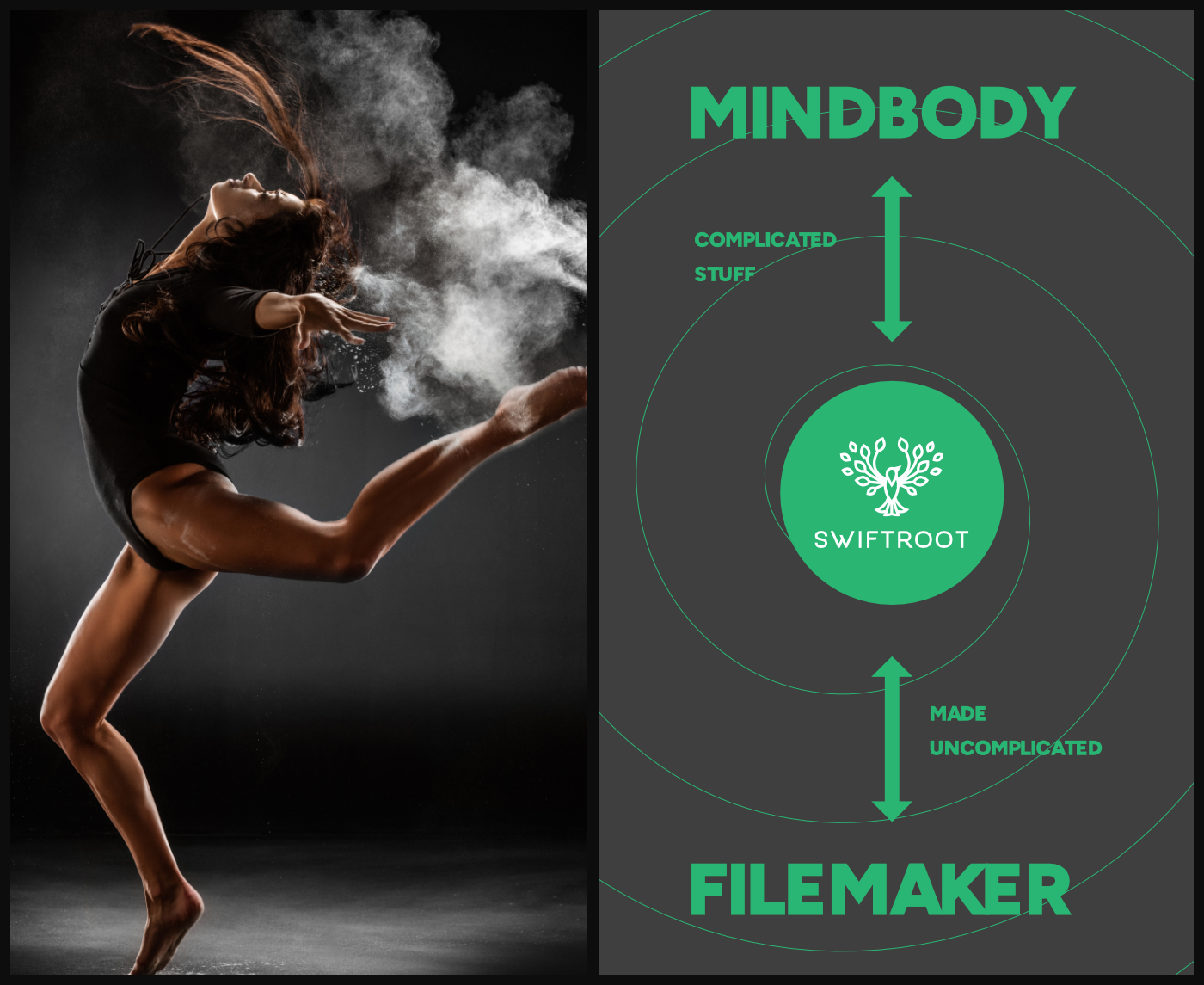 Filemaker MindBody Sync preview